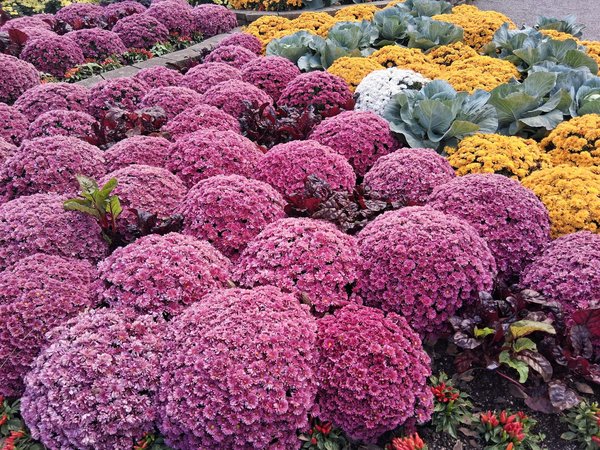 Top avantages du revêtement terrasse en résine pour votre espace