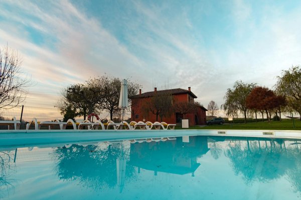 Prix d'abattage d'arbre : préparez bien votre budget