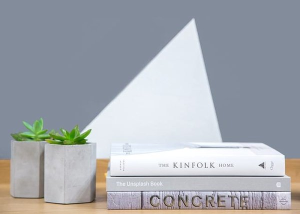 Les plantes d'intérieur qui transforment votre mur végétal en un oasis de verdure