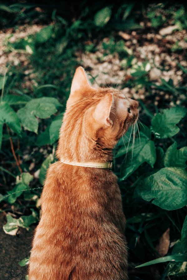 Quel est le mobilier de jardin idéal pour profiter de l'été?