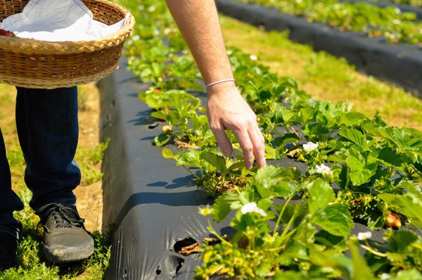 Pourquoi le forage de puits d'eau est-il plus avantageux pour l'environnement que les autres sources d'eau ?