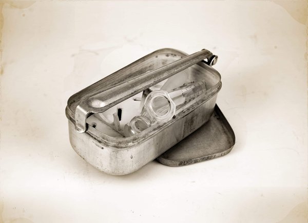 Destruction de nids de frelon dans le Val-d'Oise : méthodes et prévention